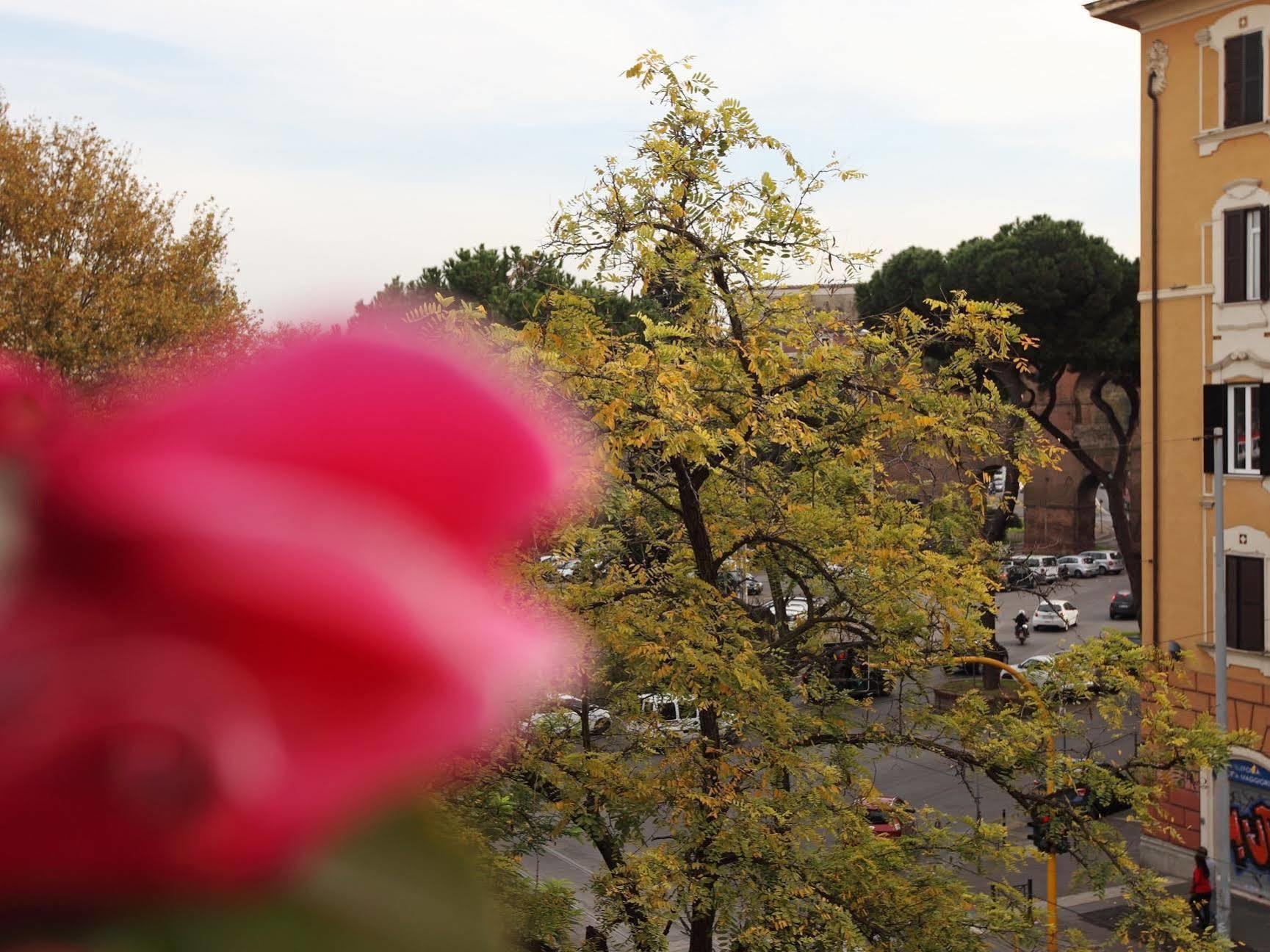 Maggiore Rome